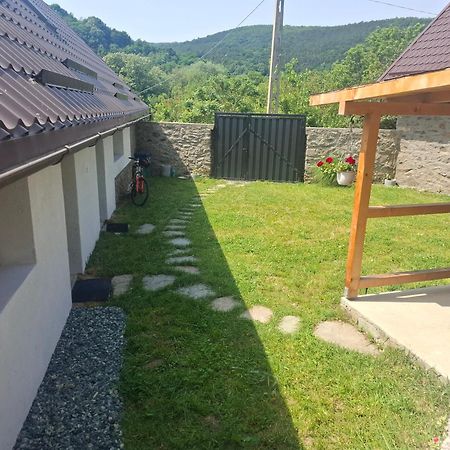 Villa Casa Noua à Sasca Montană Extérieur photo