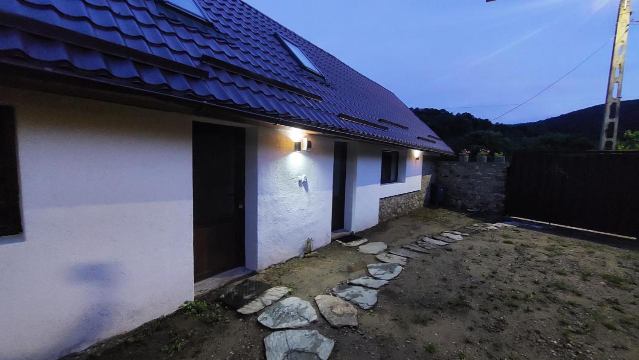 Villa Casa Noua à Sasca Montană Extérieur photo