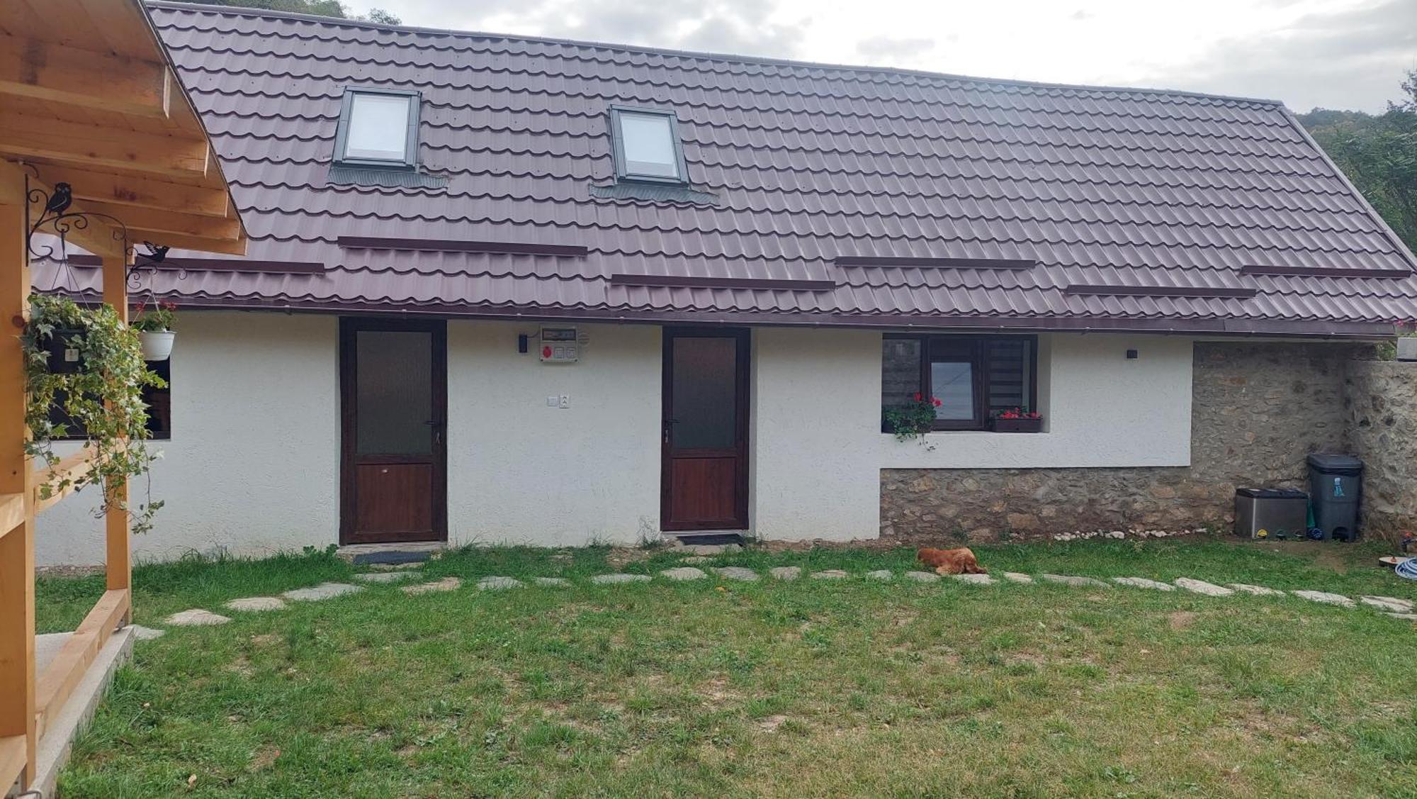 Villa Casa Noua à Sasca Montană Extérieur photo