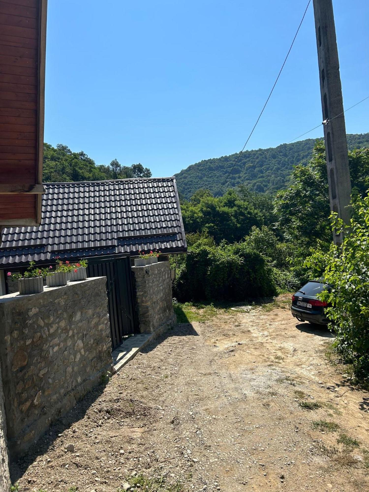 Villa Casa Noua à Sasca Montană Extérieur photo