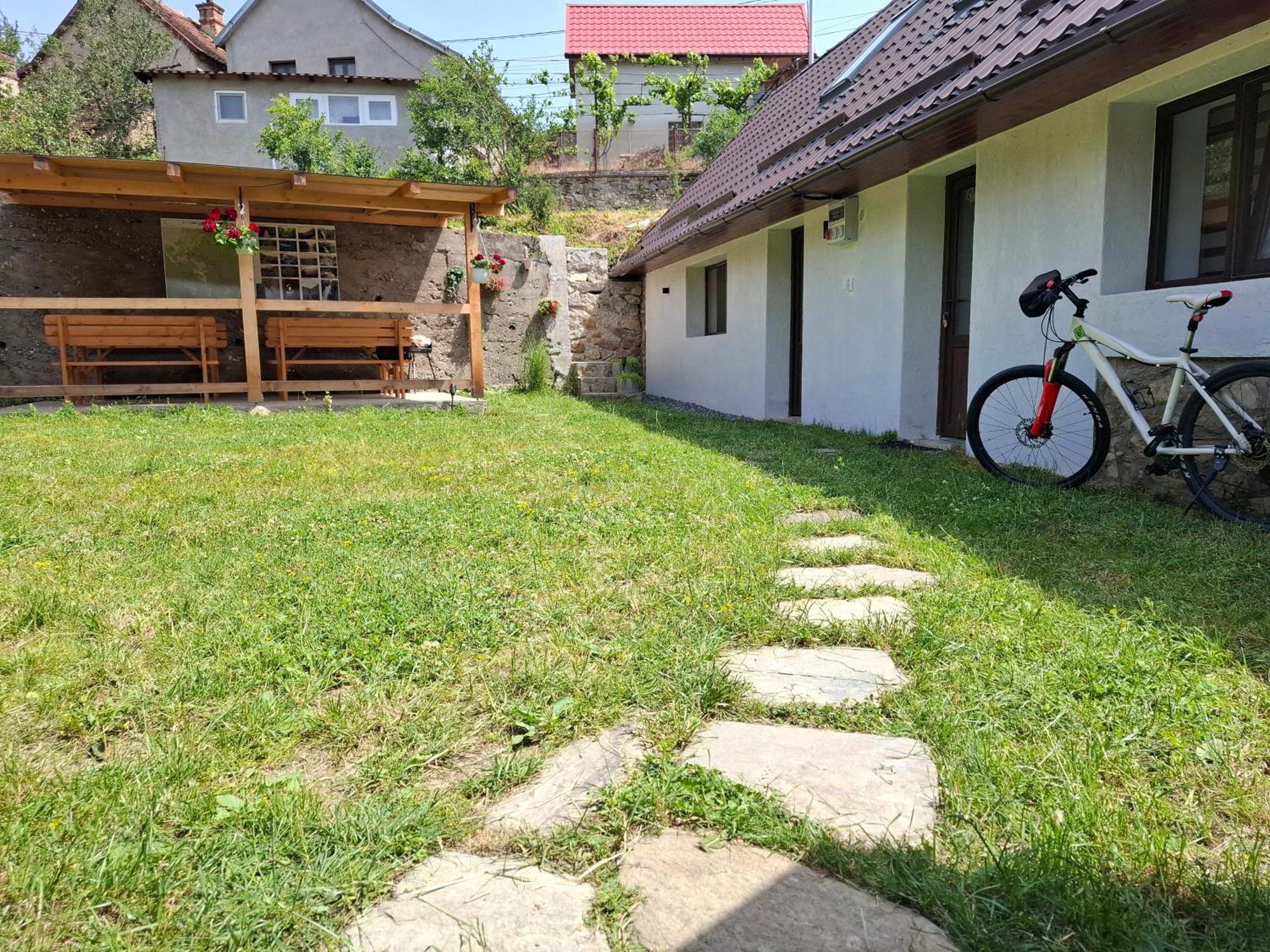 Villa Casa Noua à Sasca Montană Extérieur photo